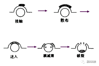 圖片5.png