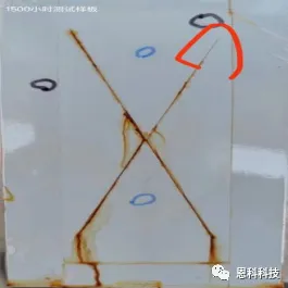 圖片13.png