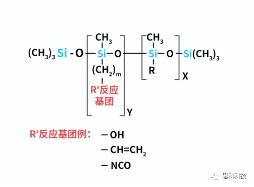 圖片26.png