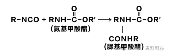 圖片4.png